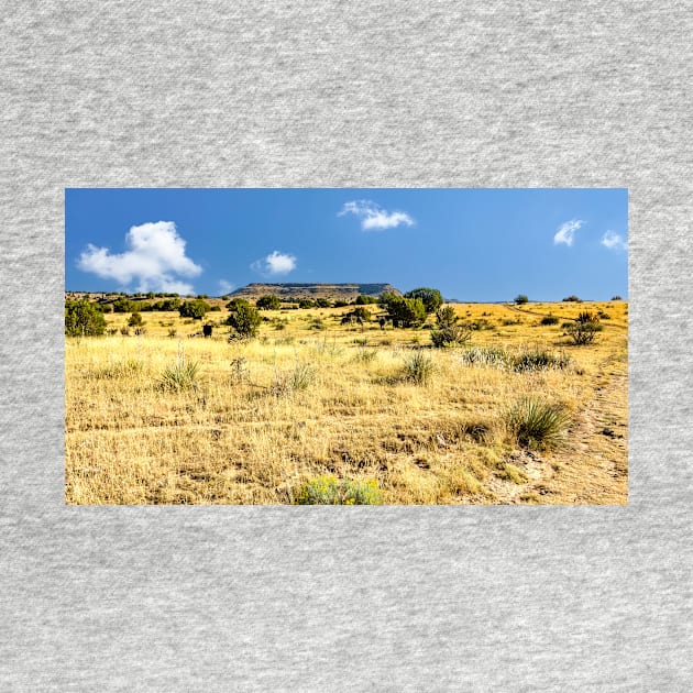 No Man's Land - Oklahoma Panhandle - Black Mesa by Debra Martz